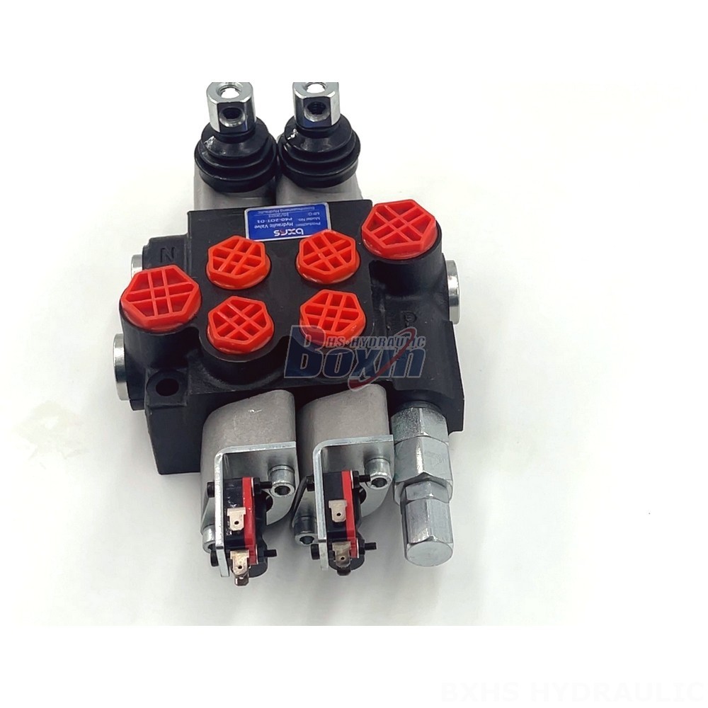 2 Spool Monoblock Directional Valve - P40: Factory Supply & Tailored Solutions detail image